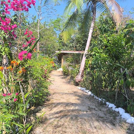 Casa Paraiso Manzanillo  Kültér fotó