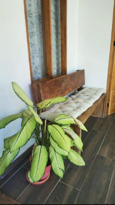 Casa Paraiso Manzanillo  Kültér fotó